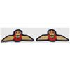 Image 1 : PAIR OF RCMP BADGES