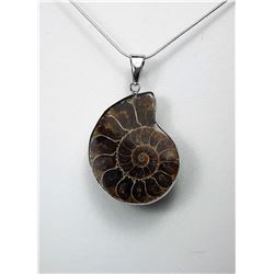 14 - IRIDESCENT NATURAL AMMONITE