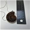 Image 2 : 14 - IRIDESCENT NATURAL AMMONITE