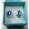 Image 1 : 7 - STAMPED  925 BLUE CAT'S EYE STUD