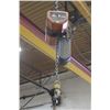 Image 2 : 1000LBS OVERHEAD CRANE HOIST W/ RAILS