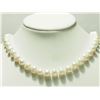 Image 1 : 18) STERLING SILVER FRESHWATER PEARL 17" NECKLACE