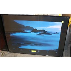 BLUE TALBOT INSPIRATION PICTURE FRAMED