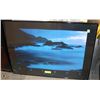 Image 1 : BLUE TALBOT INSPIRATION PICTURE FRAMED