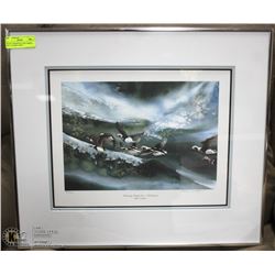 DUCKS UNLIMITED LONG TAILED DUCK FRAMED PRINT