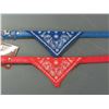 Image 1 : 2 New Dog Collar with Bandanas / 1 blue 1 red