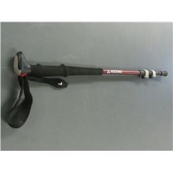 Ascend Telescoping Walking stick