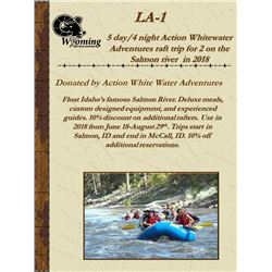 Action White Water Raft Trip on the Salmon river