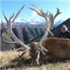 Image 1 : New Zealand Hunt-South Island
