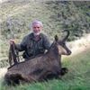 Image 5 : New Zealand Hunt-South Island