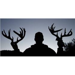 Couse Deer Hunt in Mexico for One 2018/19 or 2019/20-5 days with Rio Sonora Outfitters