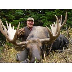 BC Moose Hunt for one in 2018