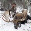 Image 3 : BC Moose Hunt for one in 2018
