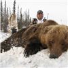Image 3 : 10 day Alaskan Spring Bear Hunt for One with Extreme Adventures