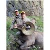 Image 3 : WYO Governor's 2018 Wild Sheep License