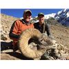 Image 4 : WYO Governor's 2018 Wild Sheep License