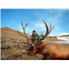 Image 3 : WYO Commissioner's tag for Elk, Deer, Antelope in 2018
