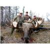 Image 1 : Alaskan Moose/Caribou Drop Camp in 2019