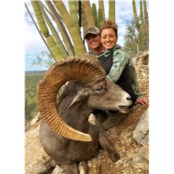 Mexico Desert Sheep and Trophy  Kansas Whitetail Deer