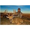Image 7 : Mexico Desert Sheep and Trophy  Kansas Whitetail Deer
