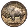 Image 3 : 1917 Buffalo Nickel PCGS MS64 CAC