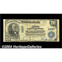 Mountain Lake, MN - $20 1902 Plain Back Fr.