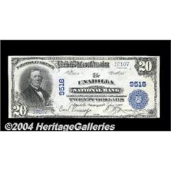 Unadilla, NY - $20 1902 Plain Back Fr. 652 The