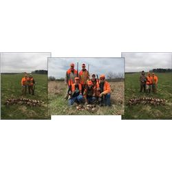 Cast and Blast Lodge Mallard/Pheasant Hunt Ohio