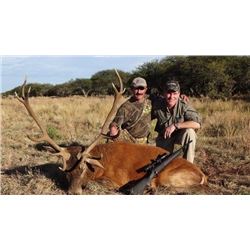 MG Hunting Argentina Red Stag Hunt
