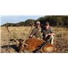 Image 1 : MG Hunting Argentina Red Stag Hunt