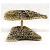 Image 1 : Native American Northwest Coast Bone Whale & Stand