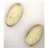 Image 2 : Pair of Fossilized Bone Cabochons