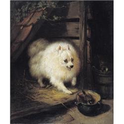 Henriette Ronner-Knip
