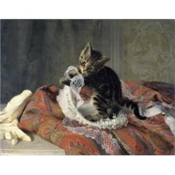 François De Bruycker