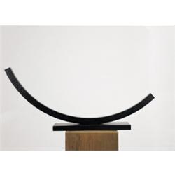 Bernar Venet