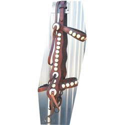 nice spotted brow band headstall