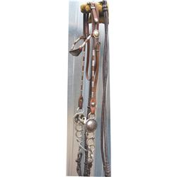 bridle with McPherson silver headstall, Visalia bucking horse bit