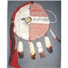 Image 1 : Cheyenne rawhide war shield
