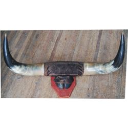 mounted steer horns