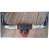 Image 1 : mounted steer horns