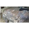 Image 3 : Cast Metal Elephant, Approx 13" Tall