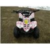 Image 2 : Jiangsu 110cc youth ATV SN#-L0SSCHL18HT200528