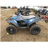 Image 3 : 1995 Polaris 300 2x4 SN#-X2564364