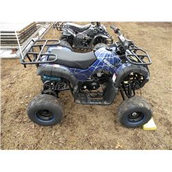 2017 Shandong KXD Moto 125cc youth ATV SN#-L0USCJL2XHA101616