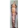 Image 1 : CROCODILE SKIN