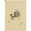 Image 1 : SALVADOR DALI Spainish 1904-1989 Ink on Paper