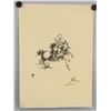 Image 2 : SALVADOR DALI Spainish 1904-1989 Ink on Paper
