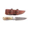 Image 1 : CFK Damascus Ram Horn Knife w/ Scabbard