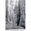 Image 11 : Our National Parks John Muir First Edition 1901