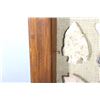 Image 5 : Native American Arrowhead & Artifact Collection
